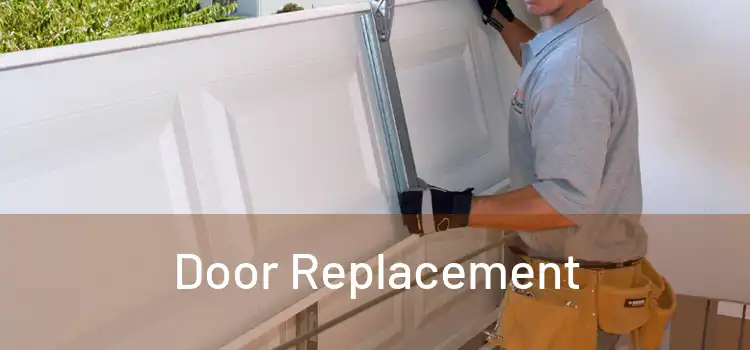  Door Replacement 